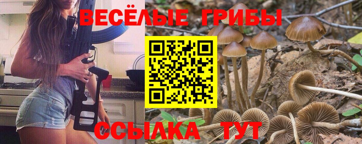 Галлюциногенные грибы ЛСД  Вход с VPN  Бердск  Псилоцибиновые грибы MAGIC MUSHROOMS 