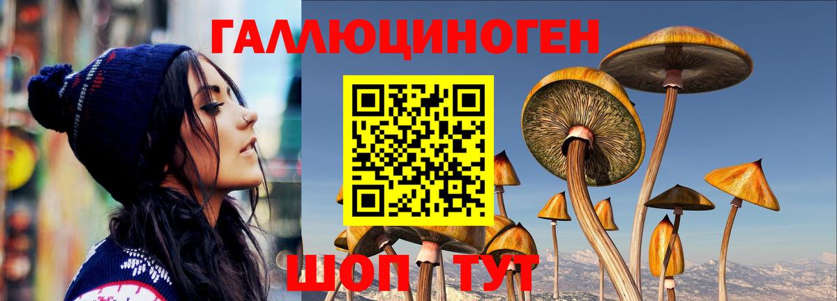 Галлюциногенные грибы Magic Shrooms Бердск